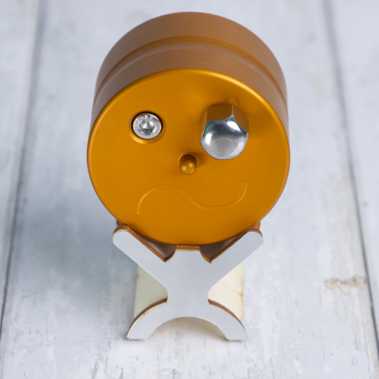 Ziggy - Level 8 - Rademic Puzzles - Doog Menzies