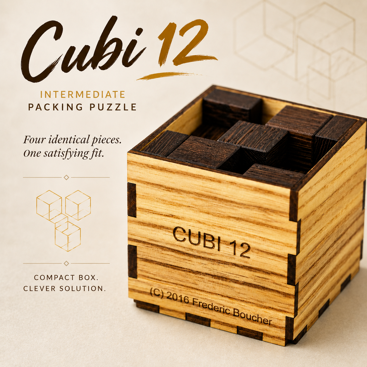 Cubi 12 – Intermediate Packing Puzzle by Pelikan Puzzles