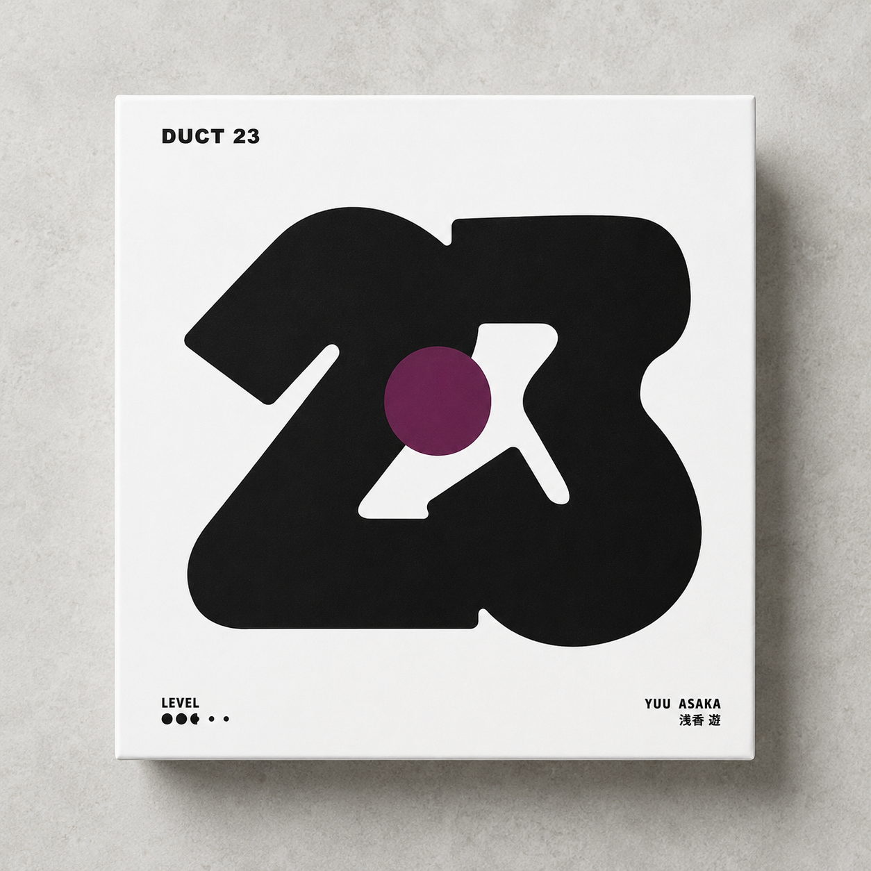 Duct 23 – Intermediate Packing Puzzle by Yuu Asaka