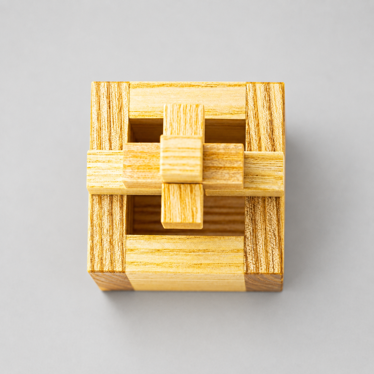 Donjon – Expert Packing Puzzle by Pelikan Puzzles