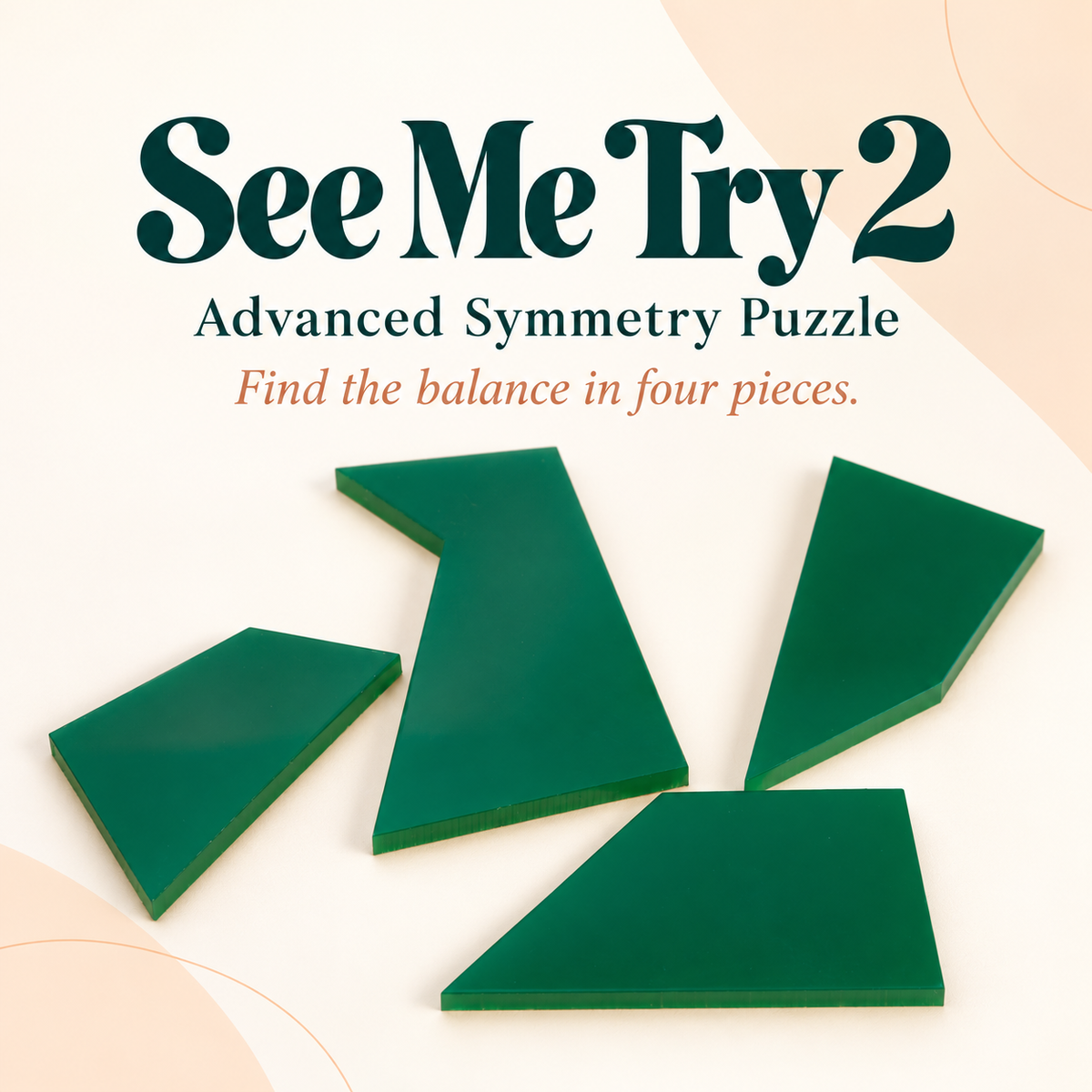See Me Try 2 - Advanced Symmetry Puzzle
