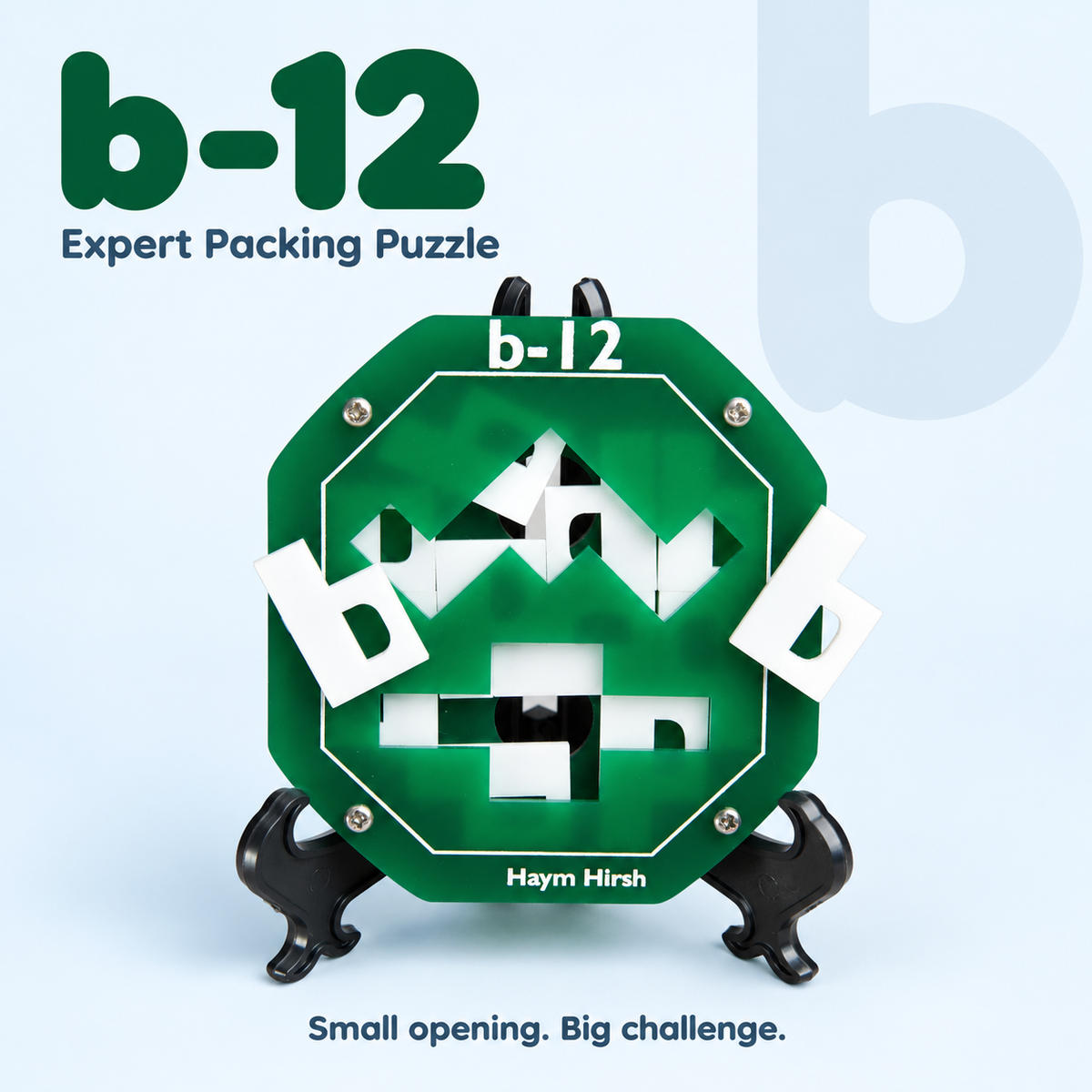 b-12 — Expert Packing Puzzle