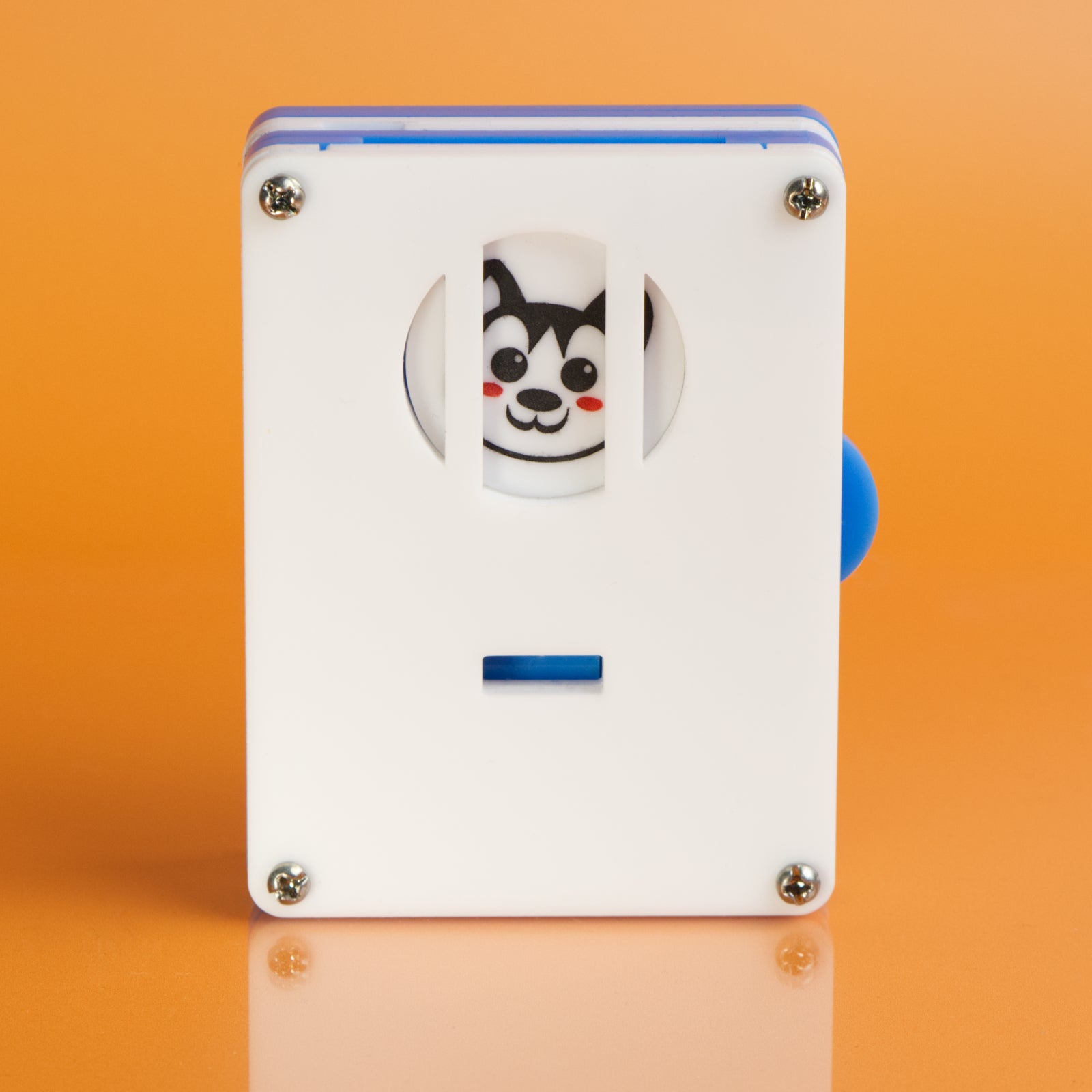 Bella - Level 8 - Rex Rossano Perez