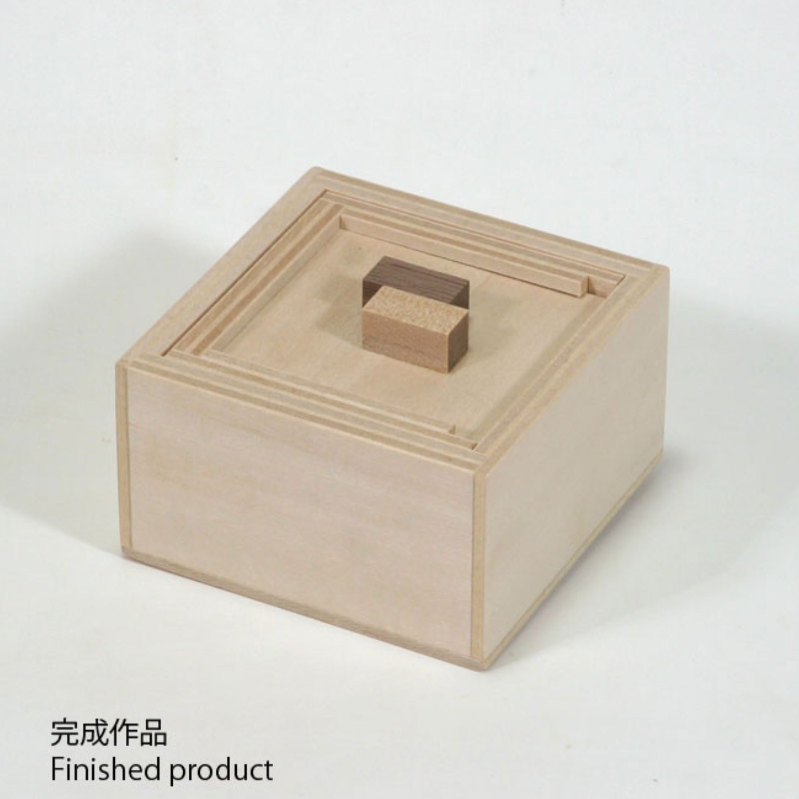 Work Kit: Newton Box  - Level 5 - Karakuri Creation Group