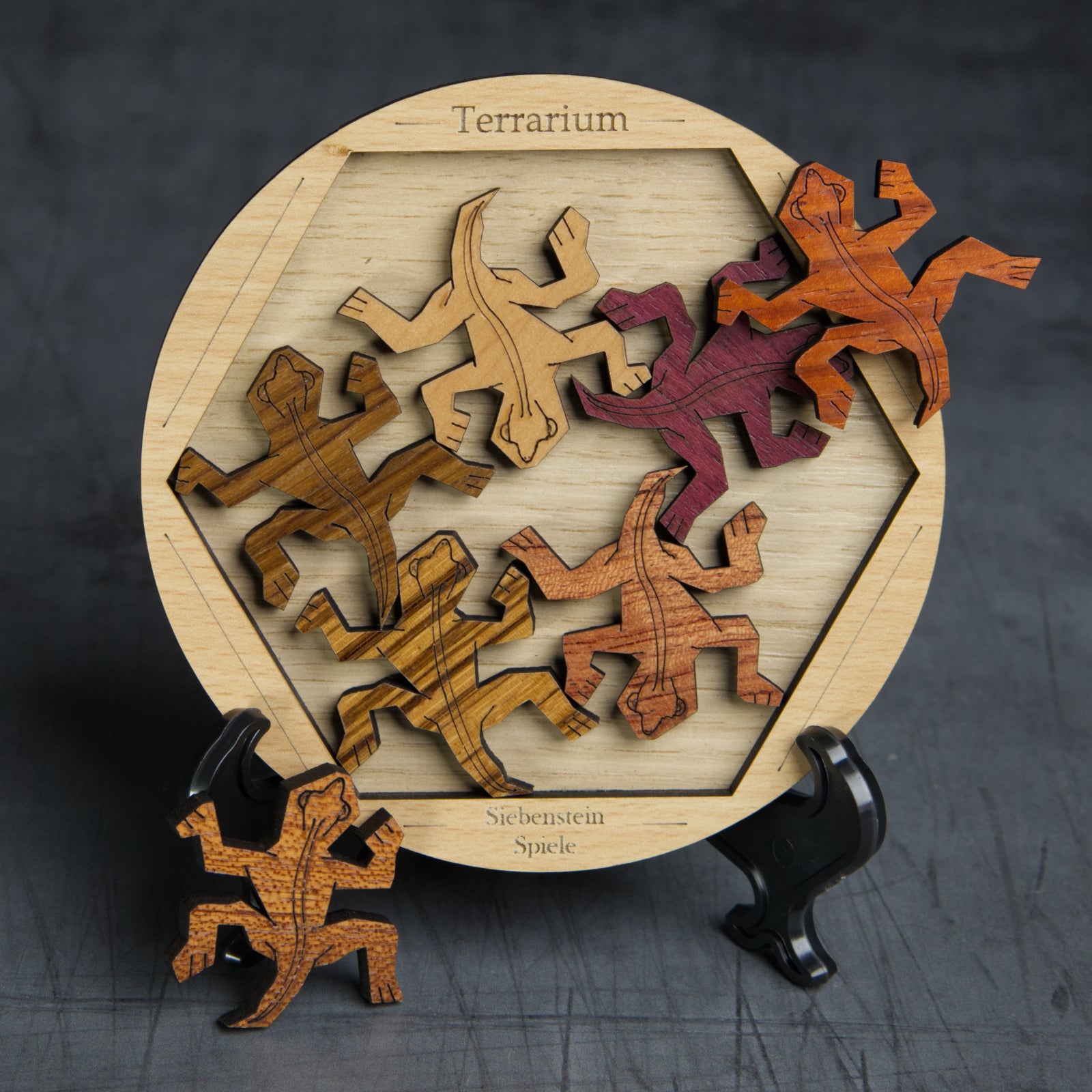 Terrarium - Level 5 - Siebenstein Spiele