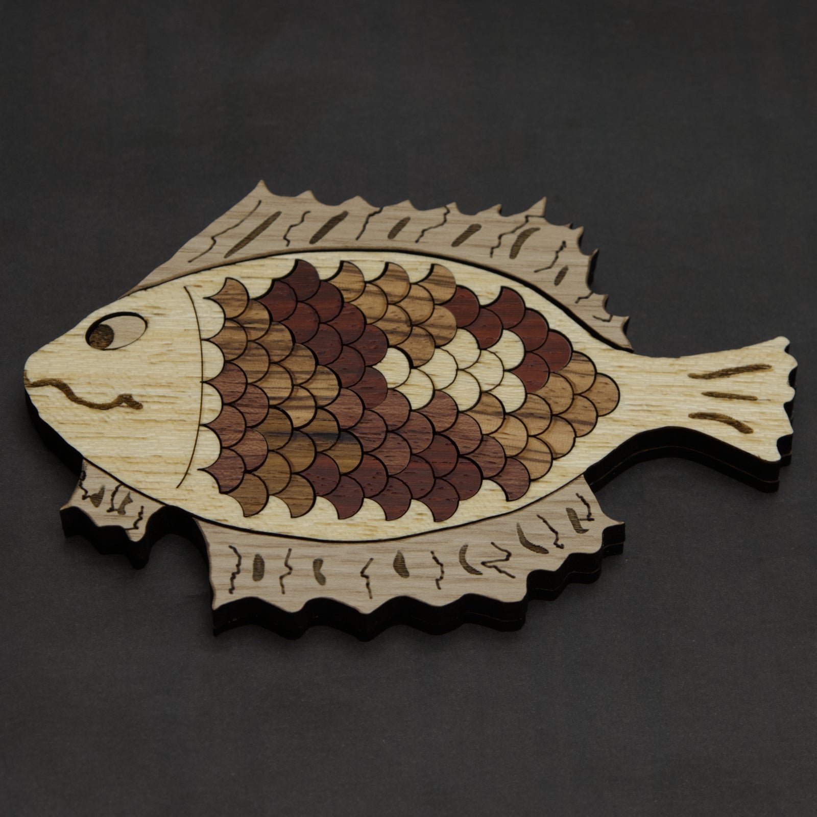 Nemo Fish Scale Packing Puzzle - Level 8 - Siebenstein Spiele