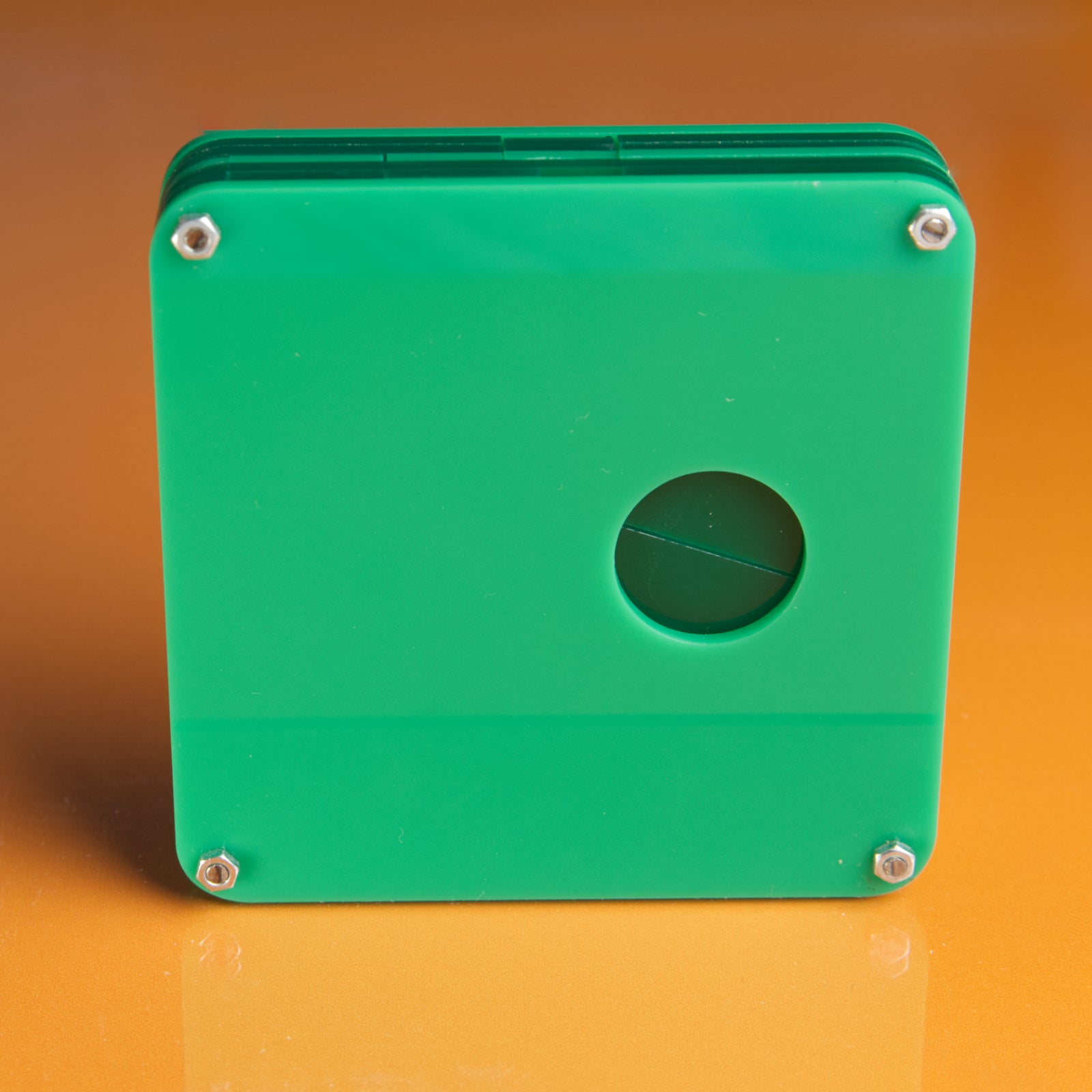 Ill Eagle - Level 8 - Rex Rossano Perez