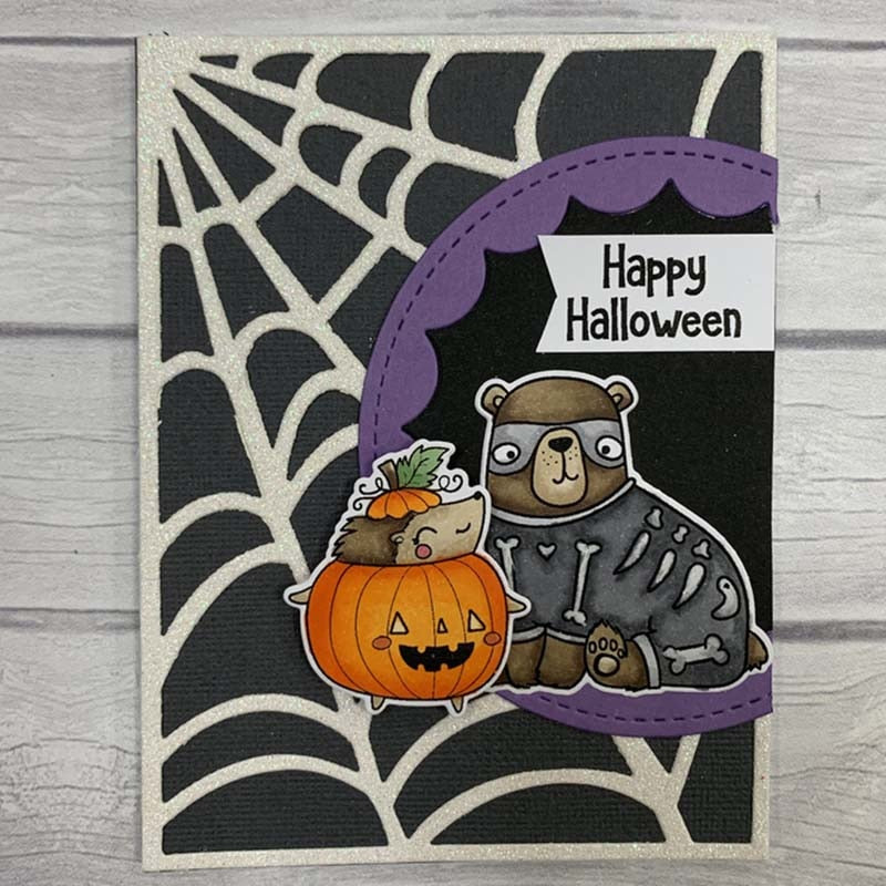 Spider Web Close-up Background Frame Cutting Die