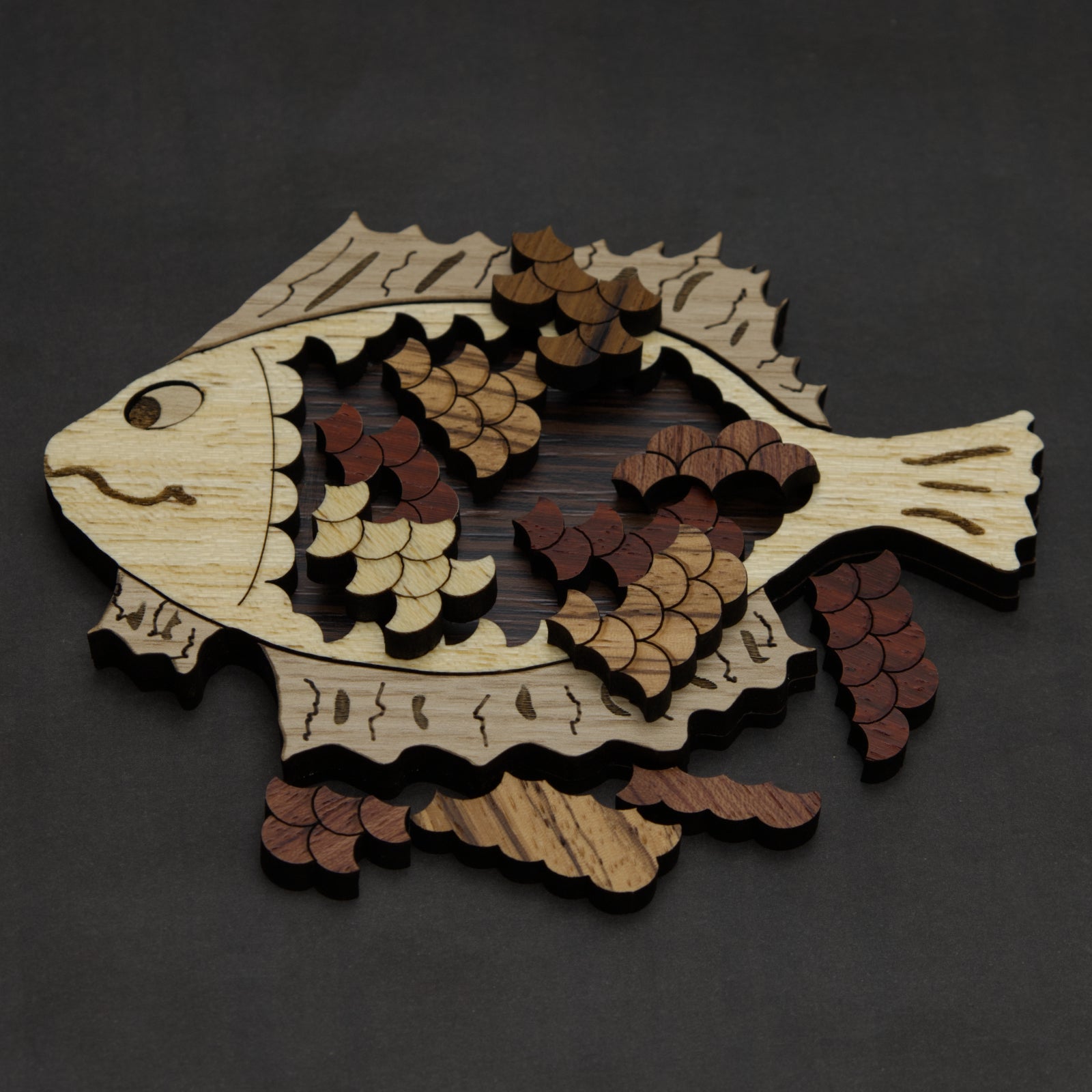 Nemo Fish Scale Packing Puzzle - Level 8 - Siebenstein Spiele