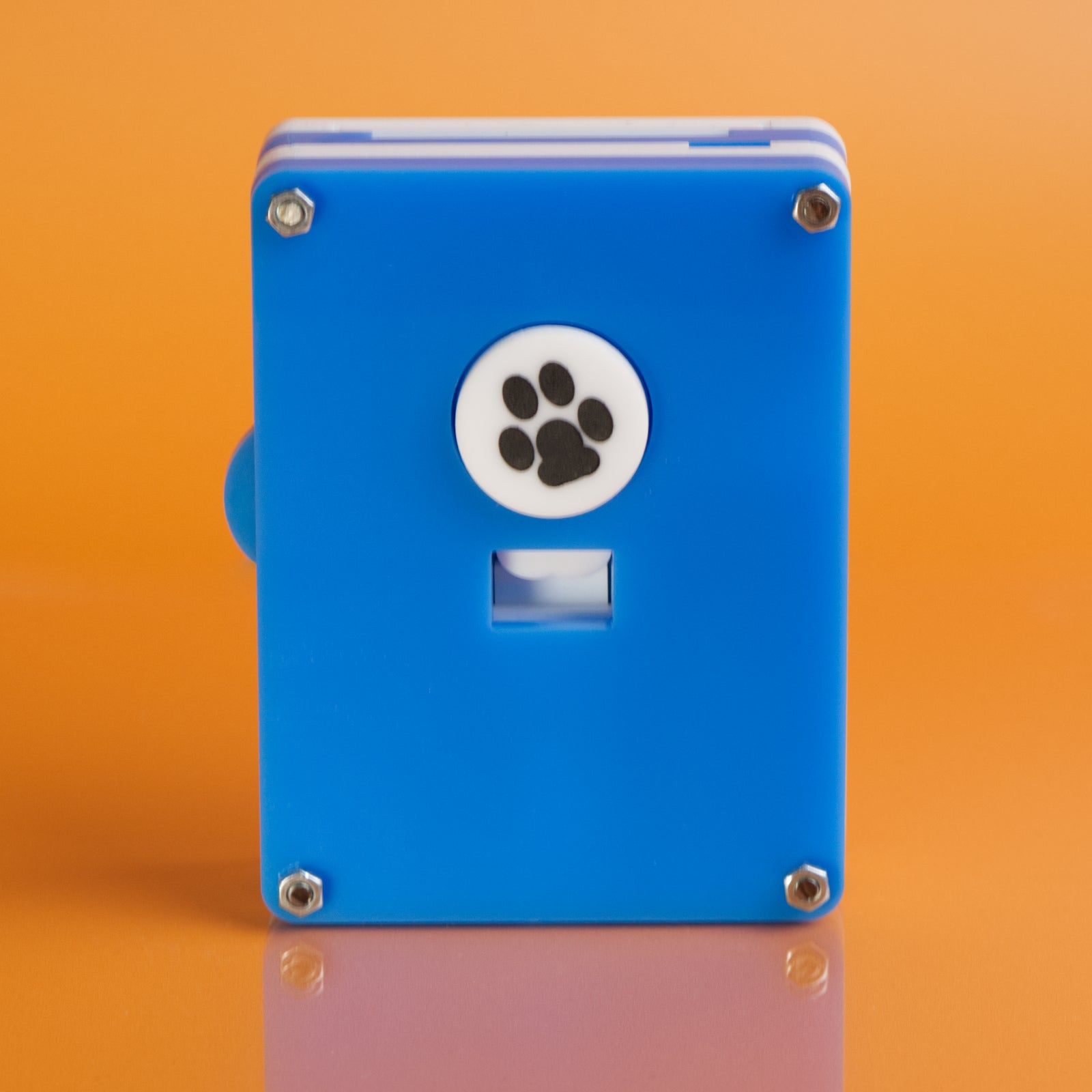 Bella - Level 8 - Rex Rossano Perez