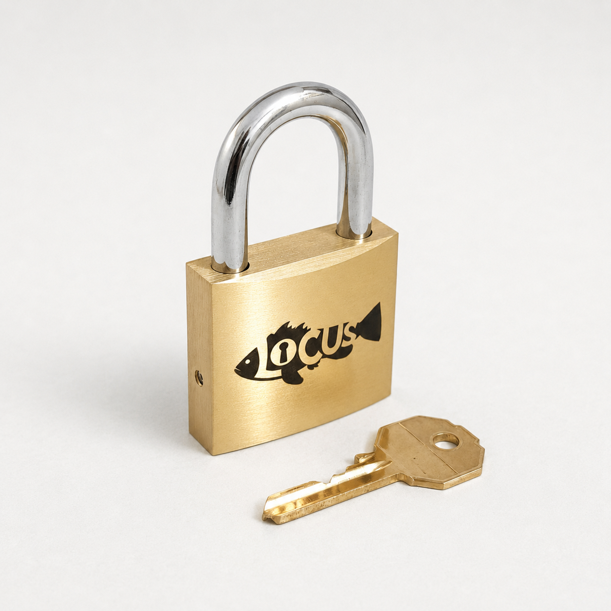 Locus – Advanced Trick Opening Puzzle by Puzzlocks