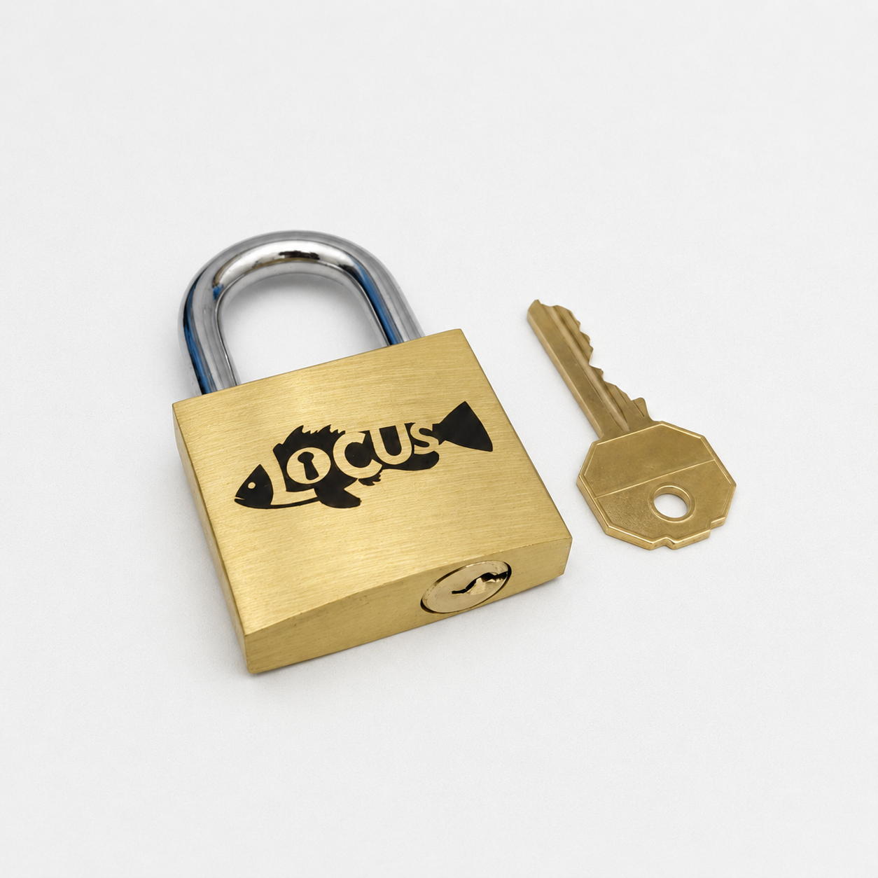 Locus – Advanced Trick Opening Puzzle by Puzzlocks