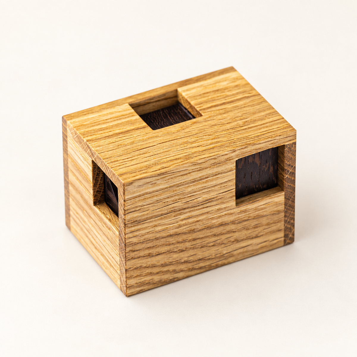 Minima Ronde - Expert Packing Puzzle by Pelikan Puzzles