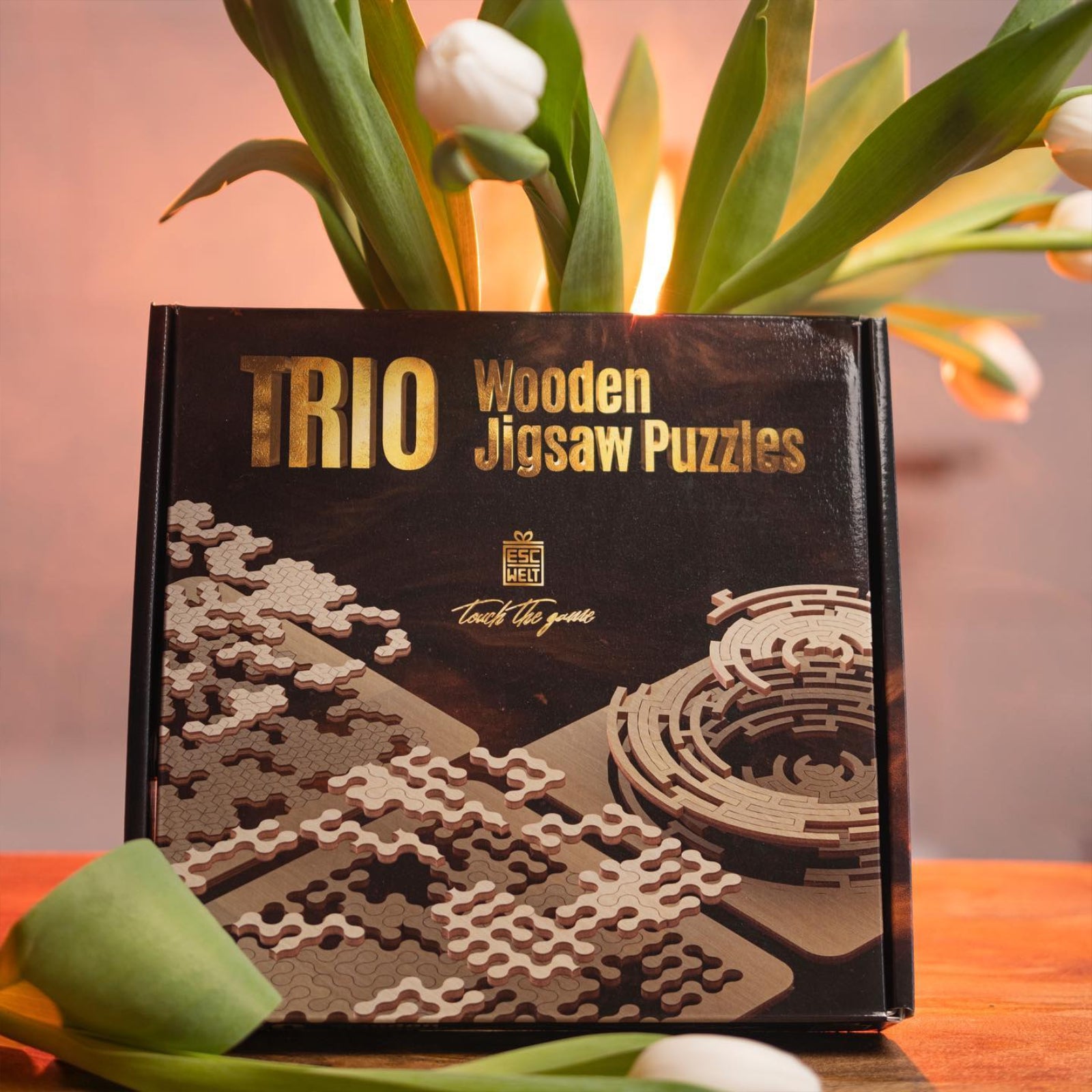 Wooden Puzzle Trio - Labyrinth, Quest, Cube Jigsaw Puzzle - ESC Welt