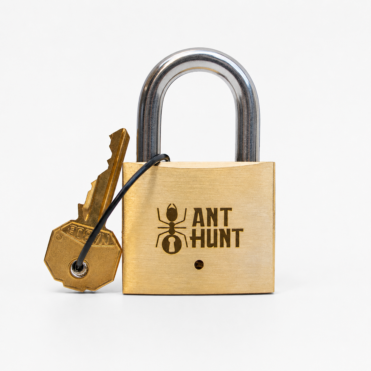 Ant Hunt – Intermediate Trick Opening Puzzle by Puzzlocks