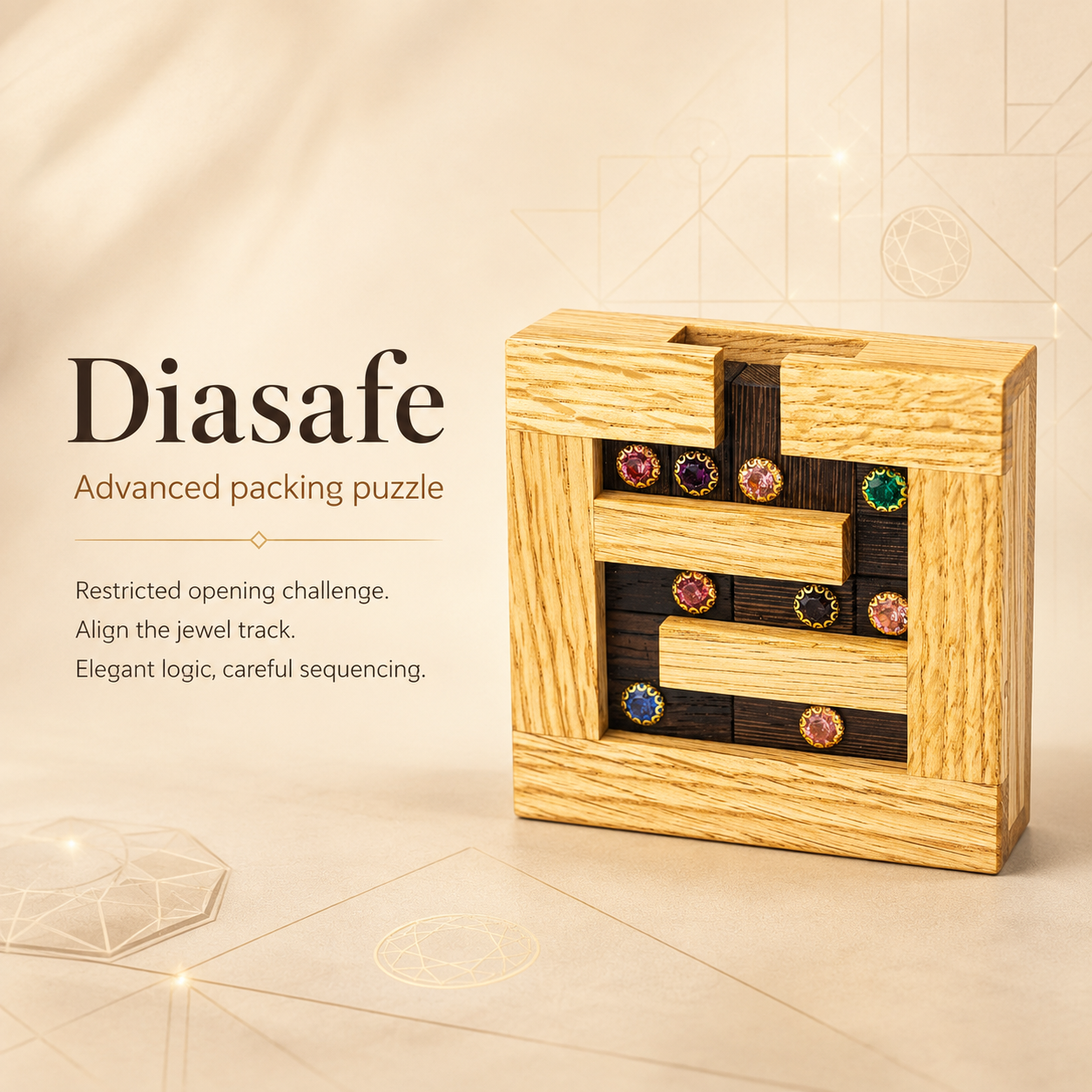 Diasafe – Advanced Packing Puzzle by Pelikan Puzzles