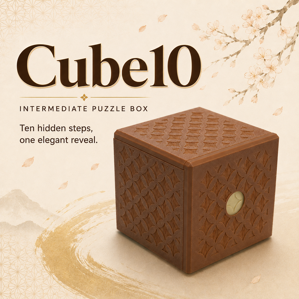 Cube10 – Intermediate Puzzle Box by Team JB Hobbies