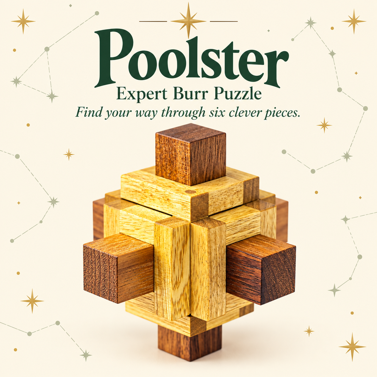 Poolster - Expert Burr Puzzle by Pelikan Puzzles