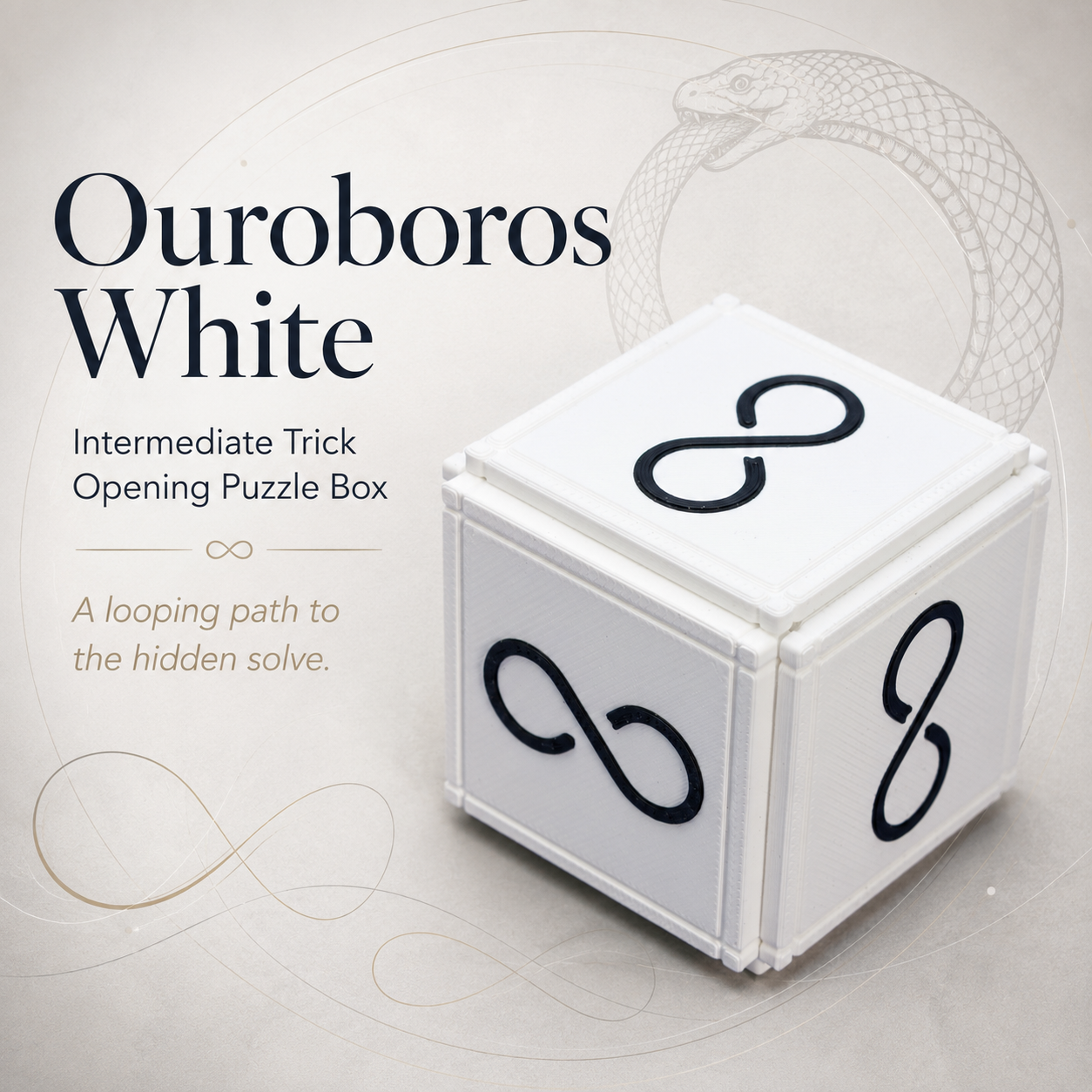 Ouroboros White – Intermediate Trick Opening Puzzle Box by PuzzlerWJ