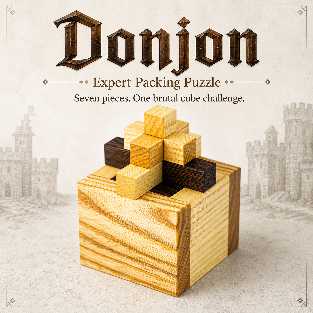 Donjon – Expert Packing Puzzle by Pelikan Puzzles