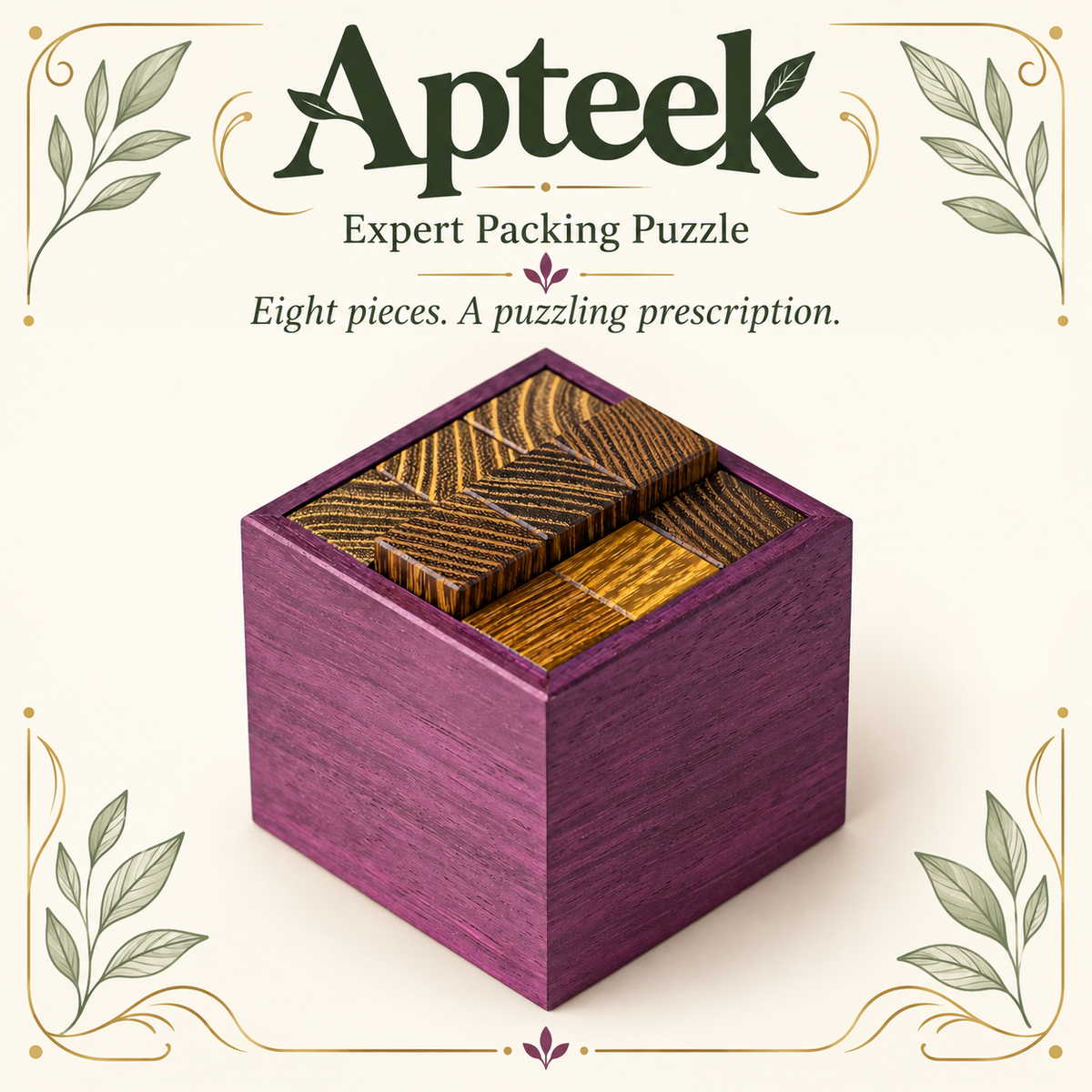 Apteek - Expert Packing Puzzle by Pelikan Puzzles