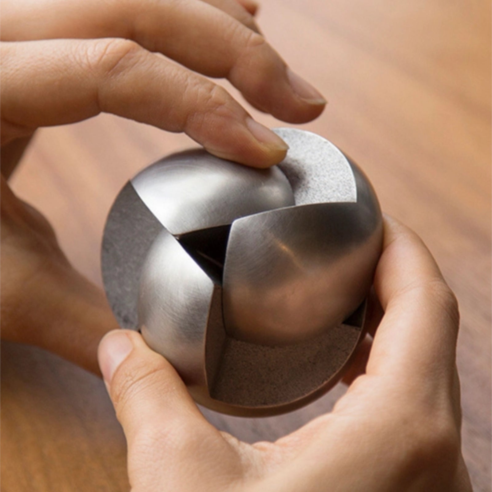 Venn Puzzle - Stainless Steel - Level 6 - Craighill