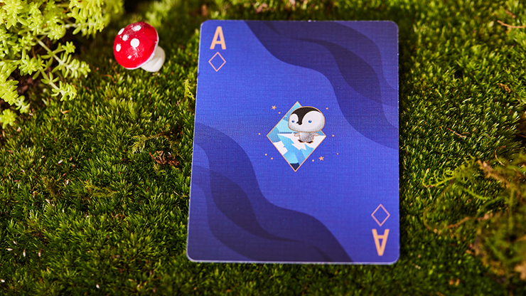 The Dream (Artic Edition) Playing Cards by SOLOKID